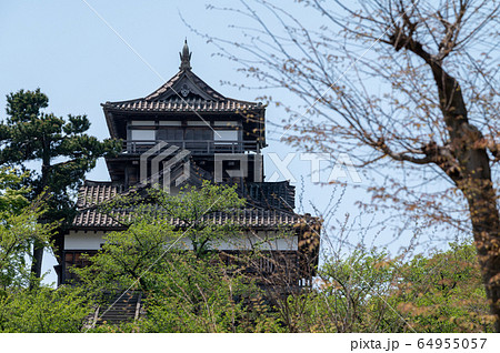 福井県 丸岡城(現存する日本最古の天守閣)2020年5月上旬 福井県 丸岡城(現存する日本最古の天守閣)2020年5月上旬 64955057