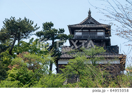 福井県　丸岡城（現存する日本最古の天守閣）2020年5月上旬 64955058