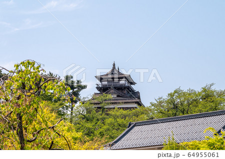 福井県　丸岡城（現存する日本最古の天守閣）2020年5月上旬 64955061