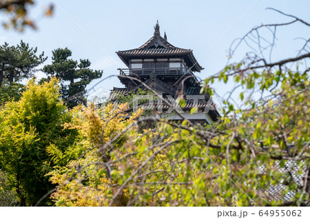 福井県 丸岡城(現存する日本最古の天守閣)2020年5月上旬 福井県 丸岡城(現存する日本最古の天守閣)2020年5月上旬 64955062