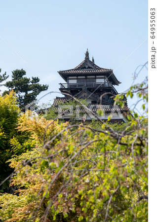 福井県 丸岡城(現存する日本最古の天守閣)2020年5月上旬 福井県 丸岡城(現存する日本最古の天守閣)2020年5月上旬 64955063