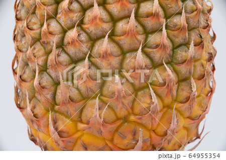 沖縄　パイナップル　パイン　石垣島 64955354