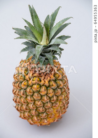 沖縄　パイナップル　パイン　石垣島 64955363
