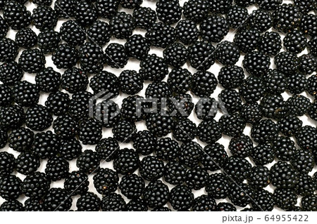 A textured bright background made from a layer of A textured bright background made from a layer of 64955422