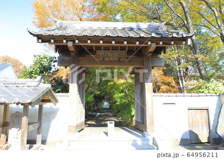 薬師寺の山門　東京都足立区伊興　 64956211