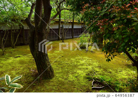 若松城 茶室麟閣の風景 若松城 茶室麟閣の風景 64956387