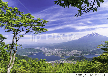 （山梨県）新緑の新道峠から望む、冠雪した富士山 64956691