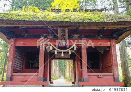 苔むす随神門 64957835