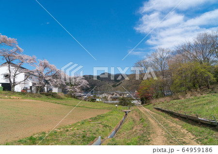 野土山公園（長瀞） 64959186