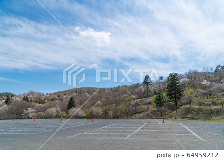 長瀞不動寺駐車場(宝登山) 長瀞不動寺駐車場(宝登山) 64959212