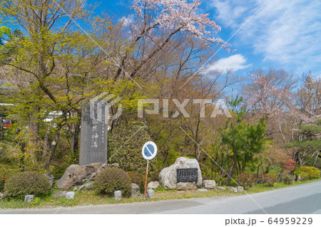 宝登山麓周辺 64959229