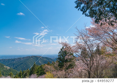 城山山頂からの景色(奥高尾) 城山山頂からの景色(奥高尾) 64959277