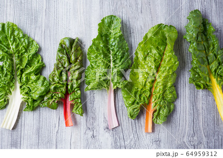 スイスチャード 64959312