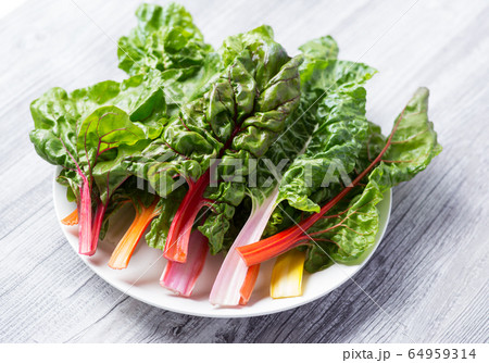 スイスチャード 64959314