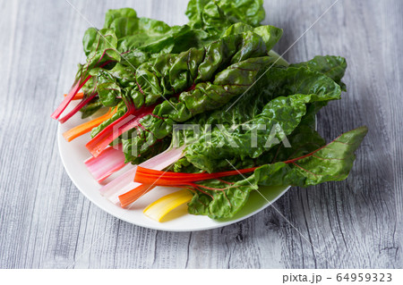 スイスチャード 64959323