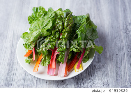 スイスチャード 64959326