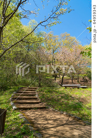 都立平山城址公園(東京都日野市) 都立平山城址公園(東京都日野市) 64959343