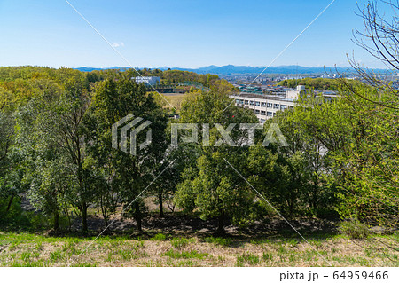 都立平山城址公園(東京都日野市) 都立平山城址公園(東京都日野市) 64959466