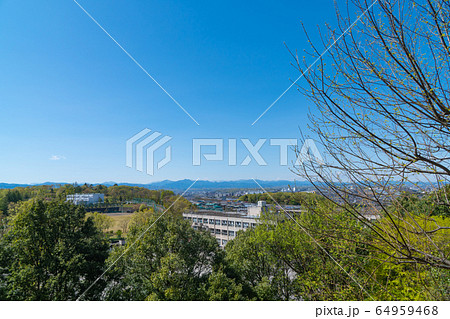 都立平山城址公園（東京都日野市） 64959468