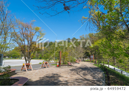 都立平山城址公園(東京都日野市) 都立平山城址公園(東京都日野市) 64959472