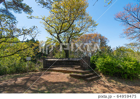 都立平山城址公園(東京都日野市) 都立平山城址公園(東京都日野市) 64959475