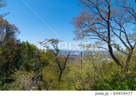 都立平山城址公園(東京都日野市) 都立平山城址公園(東京都日野市) 64959477