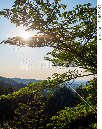 七沢展望台6 64960190