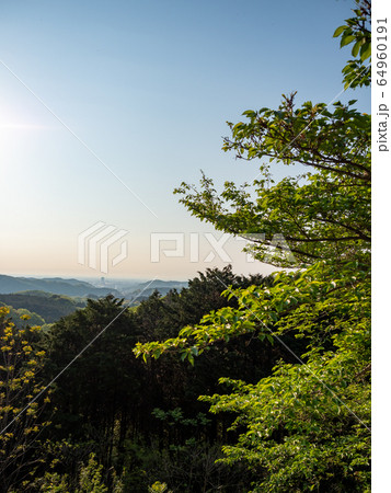 七沢展望台7 64960191