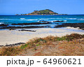 風景 自然 済州島 64960621