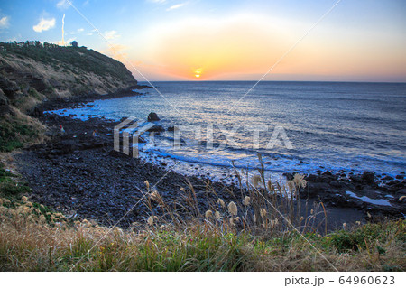 風景 ビーチ 海 64960623