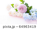 背景用　切り花　菊 64963419