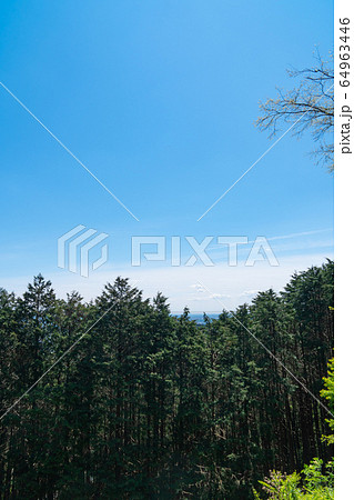 物見山（日和田山ハイキングコース） 64963446
