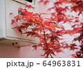 紅葉とメーター 64963831