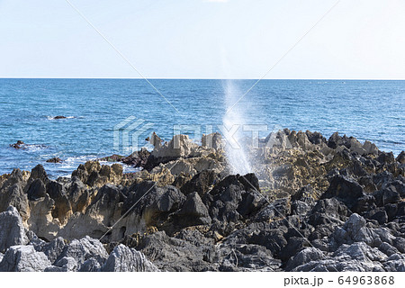 岩井崎の潮吹き岩 64963868