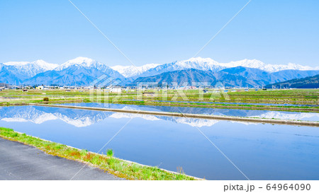 水張田と北アルプスの風景（大町市） 64964090