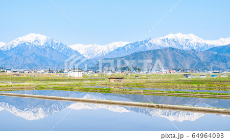 水張田と北アルプスの風景（大町市） 64964093