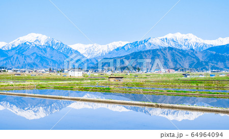 水張田と北アルプスの風景（大町市） 64964094
