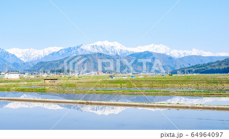水張田と北アルプスの風景（大町市） 64964097