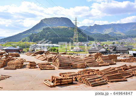 木材の町玖珠町風景　伐株山685.5ｍ　玖珠町のシンボル伐株山　大分県玖珠町 64964847