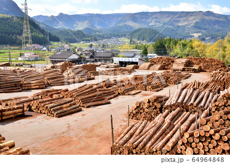 木材の町玖珠町風景　伐株山685.5ｍ　玖珠町のシンボル伐株山　大分県玖珠町 64964848