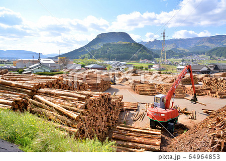 木材の町玖珠町風景　伐株山685.5ｍ　玖珠町のシンボル伐株山　大分県玖珠町 64964853