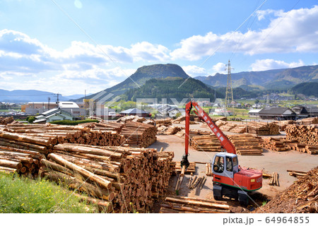 木材の町玖珠町風景　伐株山685.5ｍ　玖珠町のシンボル伐株山　大分県玖珠町 64964855
