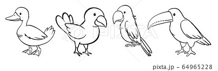 Set of bird outline Set of bird outline 64965228