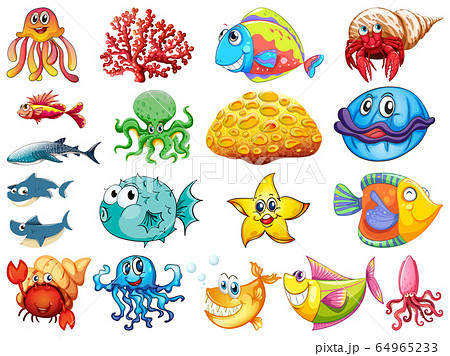 Large set of many sea creatures on white Large set of many sea creatures on white 64965233