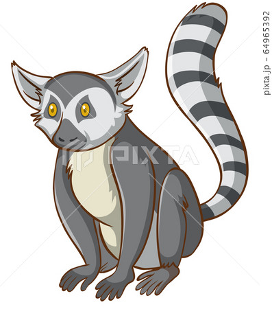 Cute lemur on white background Cute lemur on white background 64965392