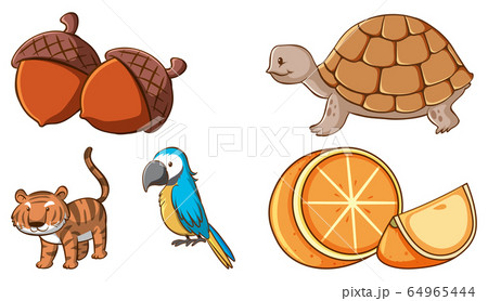 Large set of different animals and other objects 64965444
