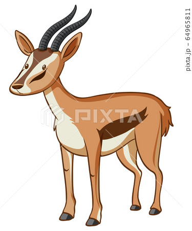 Cute Gazelle Standing On White Backgroundのイラスト素材