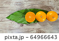 three tangerines and big leaf 64966643