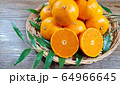 tangerines in basket and green leaves 64966645