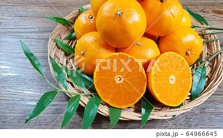 tangerines in basket and green leaves 64966645